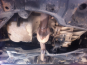 Toyota (IN) YARIS VVT-I 87CV - Accidentado 14/14
